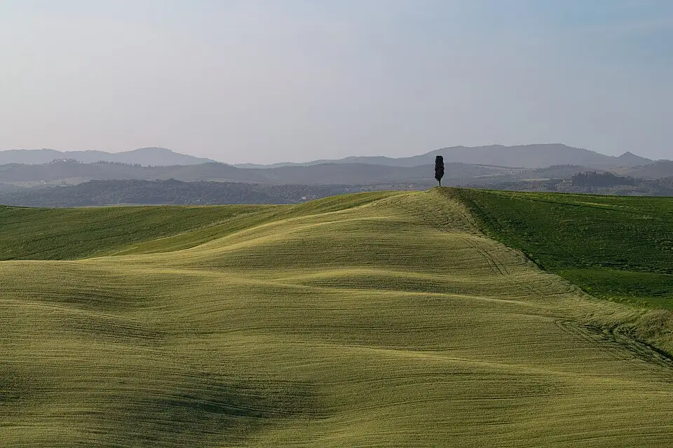 Stimmungsvolle Reiseansicht aus Toskana für Naturreise Toskana mit dem Bus – ehrlich eingeordnet