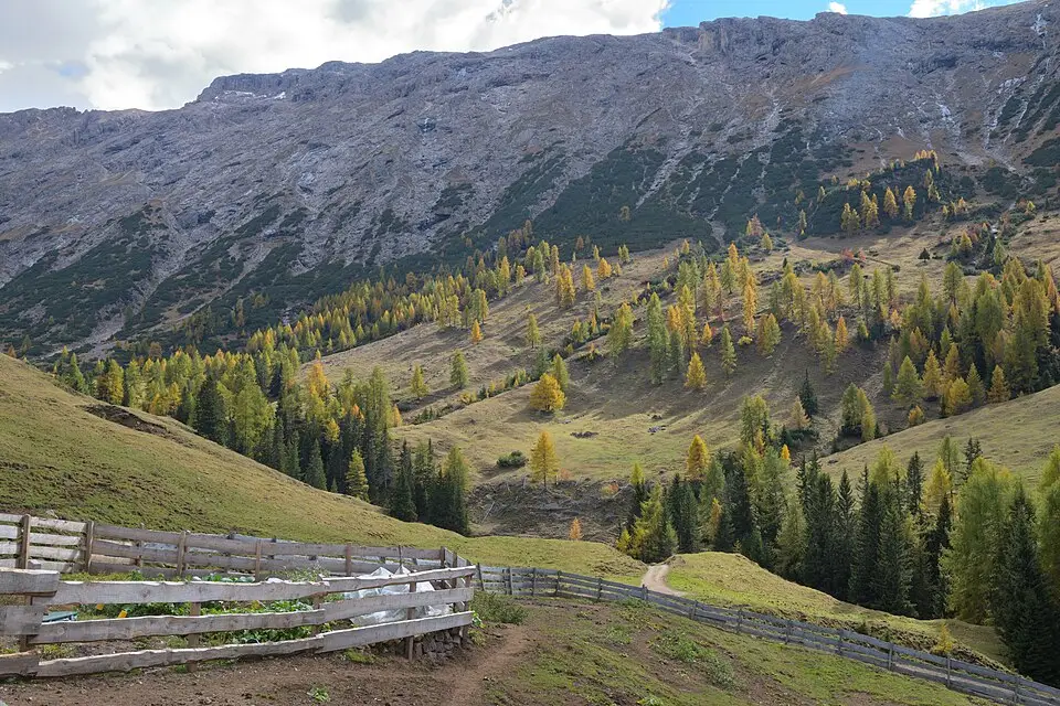 Landschaft und Sehenswürdigkeiten in Südtirol für Standortreise Südtirol mit dem Bus – Reiseguide