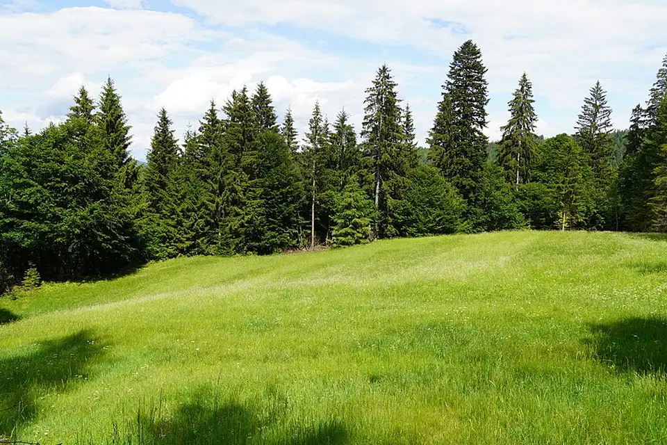 Authentischer Reisemoment in Kärnten – passend zu Wellnessreise Kärnten mit dem Bus – ehrlich eingeordnet