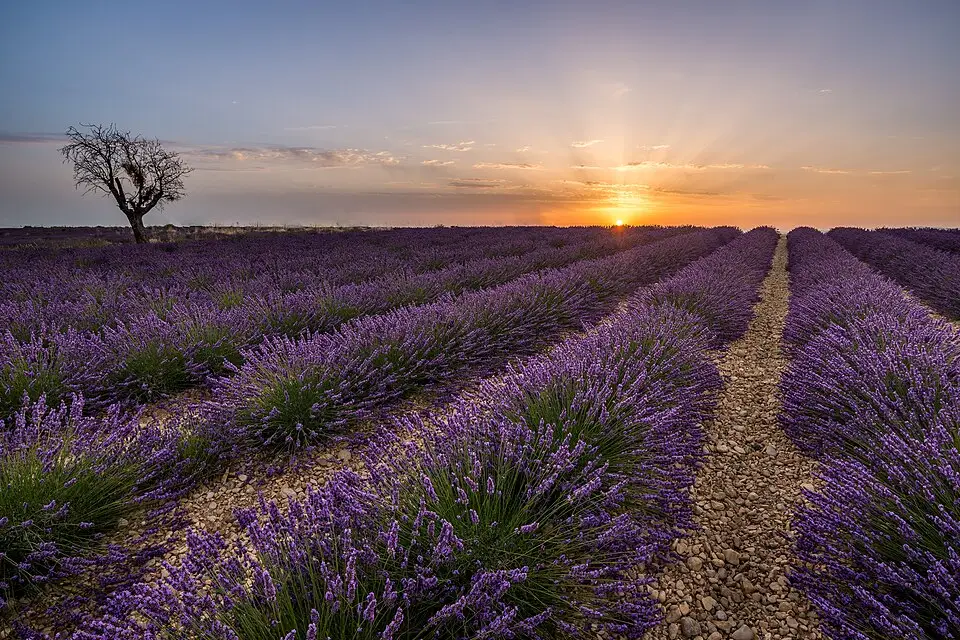 Authentischer Reisemoment in Provence – passend zu Wellnessreise Provence mit dem Bus – Reiseguide