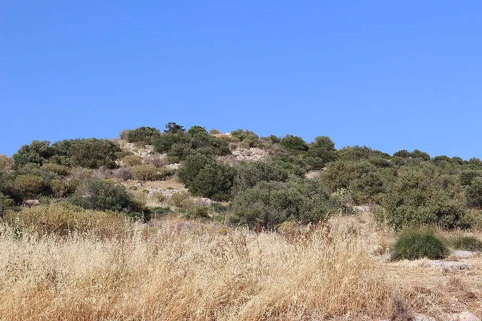 Authentischer Reisemoment in Athen – passend zu Busreise Athen in kleiner Gruppe – Reiseguide