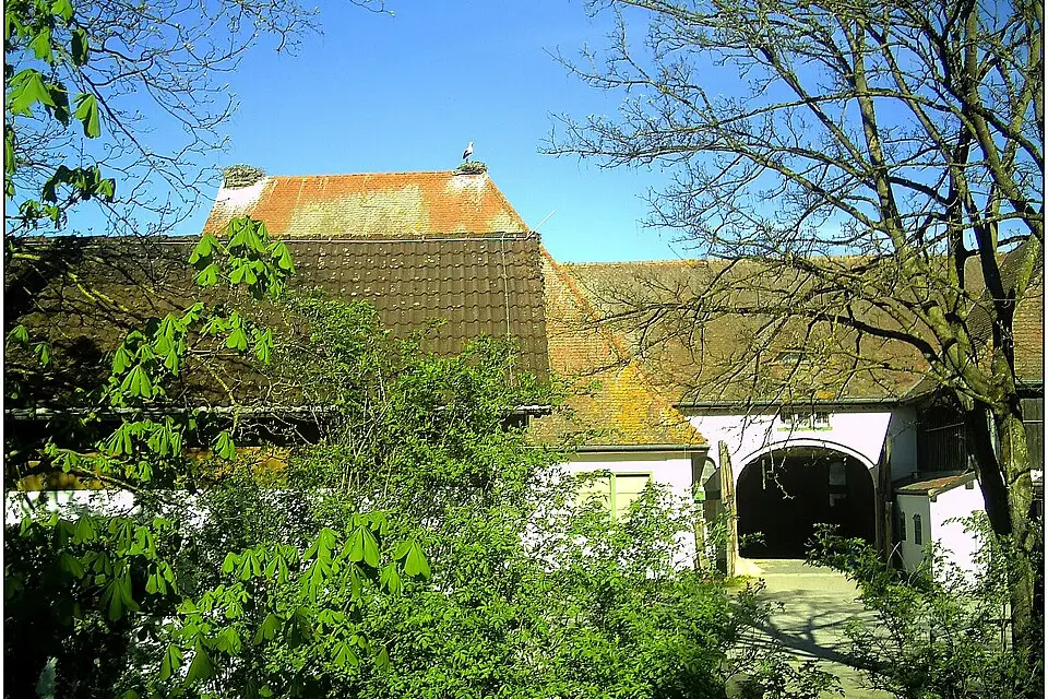 Landschaft und Sehenswürdigkeiten in Rhein für Kulturreise Romantischer Rhein mit dem Bus – Tipps zur Auswahl