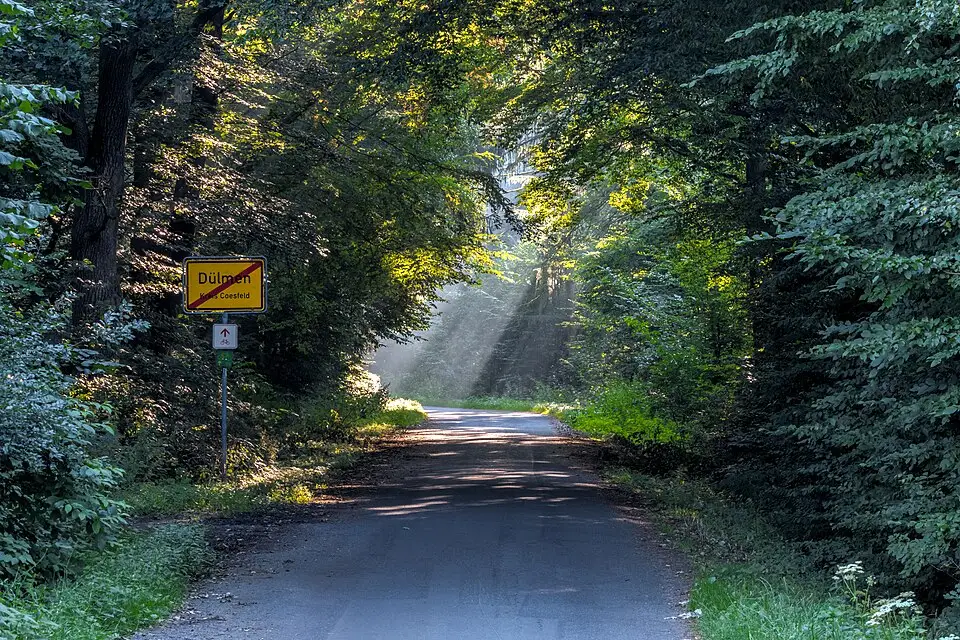 Stimmungsvolle Reiseansicht aus Schwarzwald für Busreise Schwarzwald ohne Nachtfahrt – Reisecheck