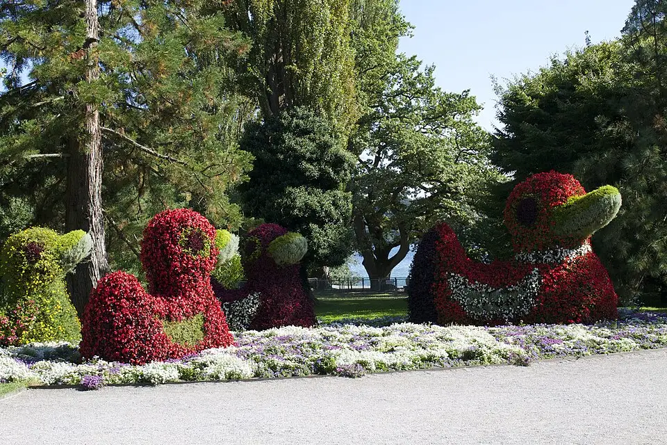 Landschaft und Sehenswürdigkeiten in Bodensee für Rundreise Bodensee mit dem Bus – ehrlich eingeordnet