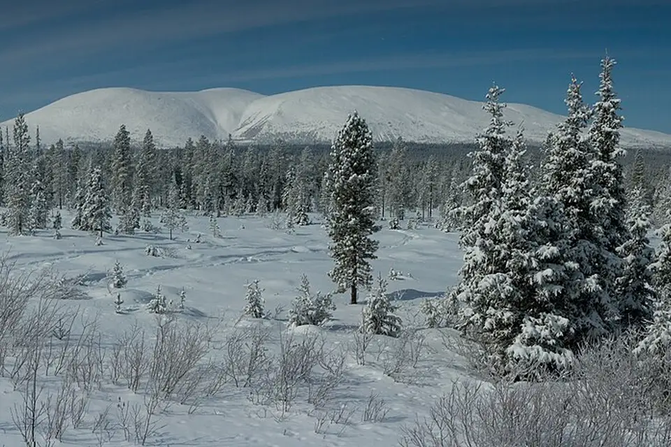Stimmungsvolle Reiseansicht aus Finnland für Rundreise Finnland mit dem Bus – Reiseguide