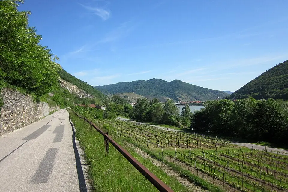 Stimmungsvolle Reiseansicht aus Wachau für Busreise Wachau im Frühling – Tipps zur Auswahl