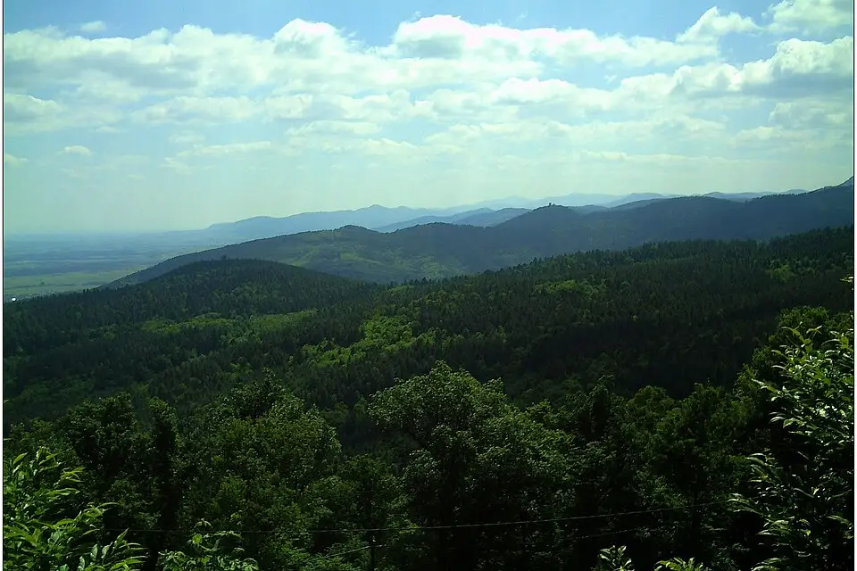 Landschaft und Sehenswürdigkeiten in Elsass für Gruppenreise Elsass mit dem Bus – Reisecheck