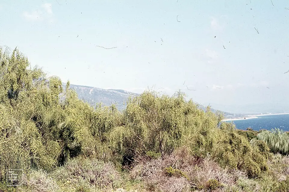 Stimmungsvolle Reiseansicht aus Andalusien für Busreise Andalusien mit Reiseleitung – Route & Leistungen