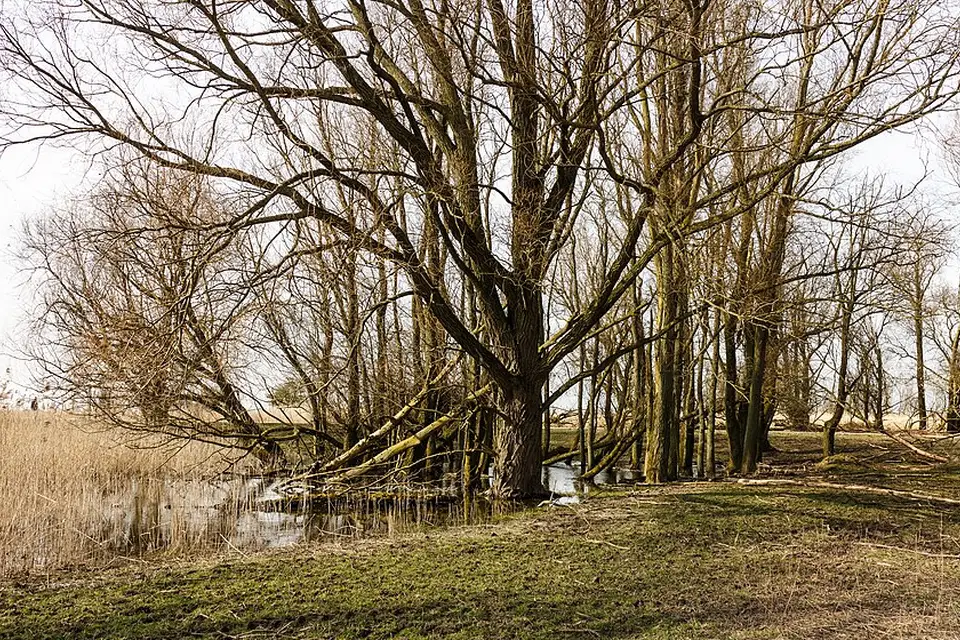 Landschaft und Sehenswürdigkeiten in Amsterdam für Busreise Amsterdam mit Panoramabahn – ehrlich eingeordnet