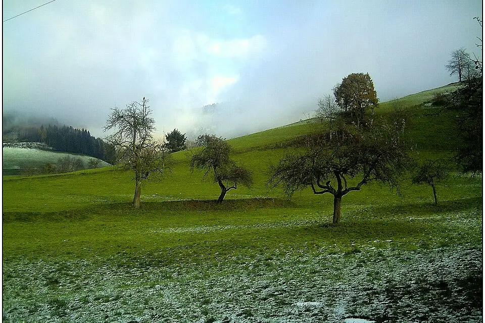 Stimmungsvolle Reiseansicht aus Schwarzwald für Genussreise Schwarzwald mit dem Bus – Route & Leistungen