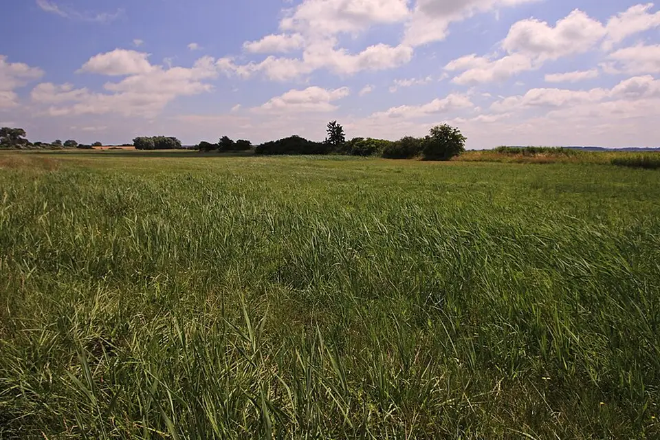 Landschaft und Sehenswürdigkeiten in Usedom für Busreise Usedom im Herbst – Reiseguide