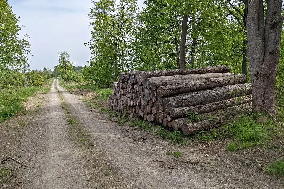 Landschaft und Sehenswürdigkeiten in Harz für Barrierearme Busreise Harz – ehrlich eingeordnet