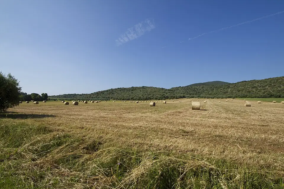 Landschaft und Sehenswürdigkeiten in Toskana für Busreise Toskana für Senioren – Route & Leistungen