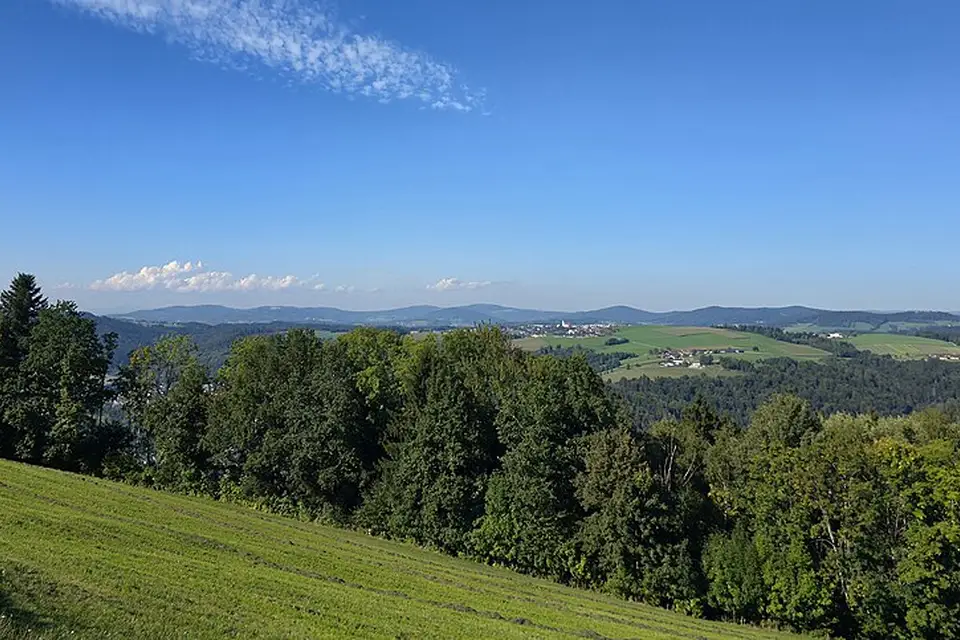 Stimmungsvolle Reiseansicht aus Bayerischen Wald für Adventsreise Bayerischer Wald mit dem Bus – ehrlich eingeordnet