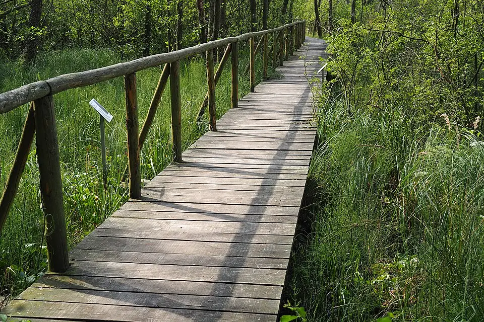 Authentischer Reisemoment in Mecklenburgischen Seenplatte – passend zu Singlereise Mecklenburgische Seenplatte mit dem Bus – Reiseguide