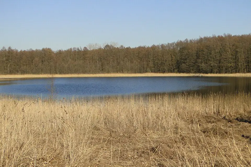 Landschaft und Sehenswürdigkeiten in Mecklenburgischen Seenplatte für Busreise Mecklenburgische Seenplatte ab Frankfurt – Reiseguide