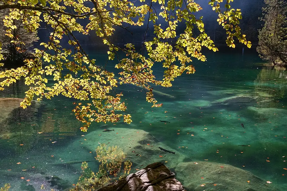 Authentischer Reisemoment in Berner Oberland – passend zu Adventsreise Berner Oberland mit dem Bus – Reiseguide