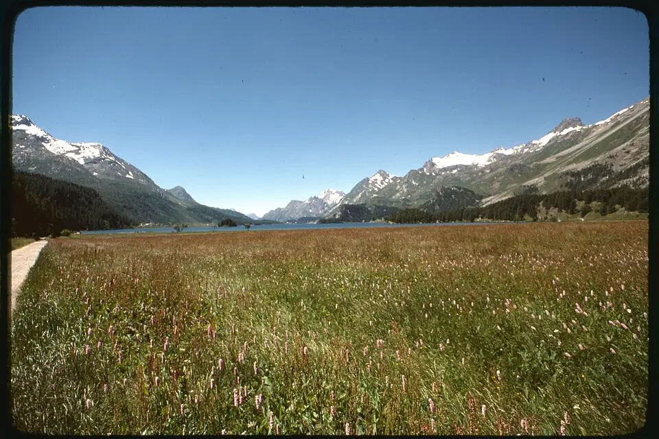 Stimmungsvolle Reiseansicht aus Engadin für Busreise Engadin Angebote vergleichen – ehrlich eingeordnet