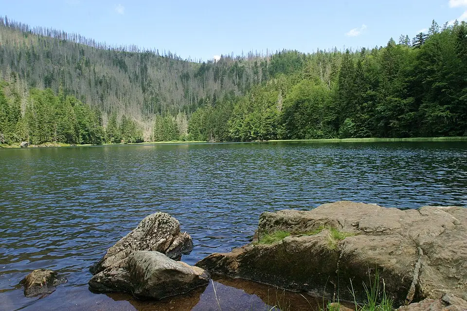 Landschaft und Sehenswürdigkeiten in Bayerischen Wald für Busreise Bayerischer Wald mit Reiseleitung – Dauer & Komfort
