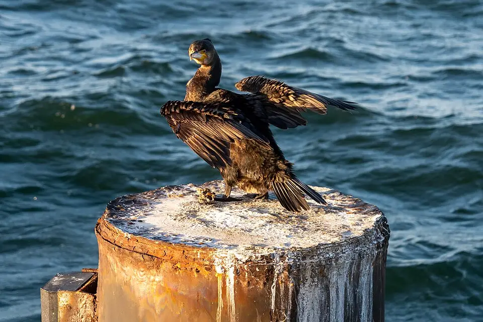 Authentischer Reisemoment in Mecklenburgischen Seenplatte – passend zu Busreise Mecklenburgische Seenplatte 7 Tage – ehrlich eingeordnet