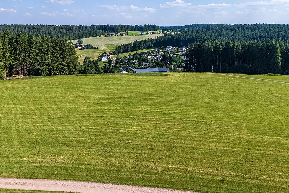 Authentischer Reisemoment in Schwarzwald – passend zu Kulturreise Schwarzwald mit dem Bus – ehrlich eingeordnet