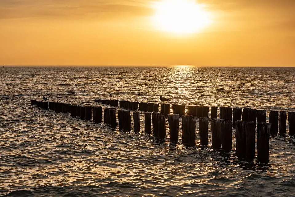 Authentischer Reisemoment in Zeeland – passend zu Genussreise Zeeland mit dem Bus – ehrlich eingeordnet
