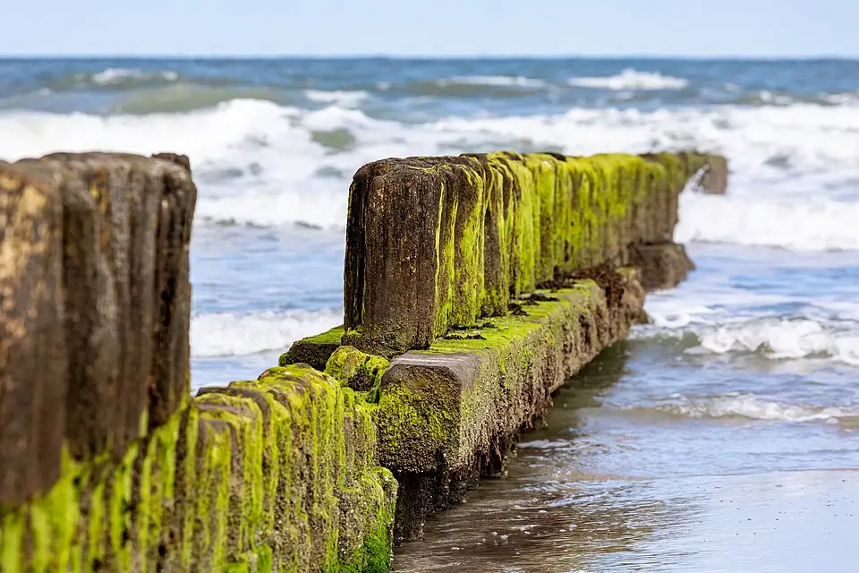 Stimmungsvolle Reiseansicht aus Nordsee für Busreise Nordsee in kleiner Gruppe – Reiseguide