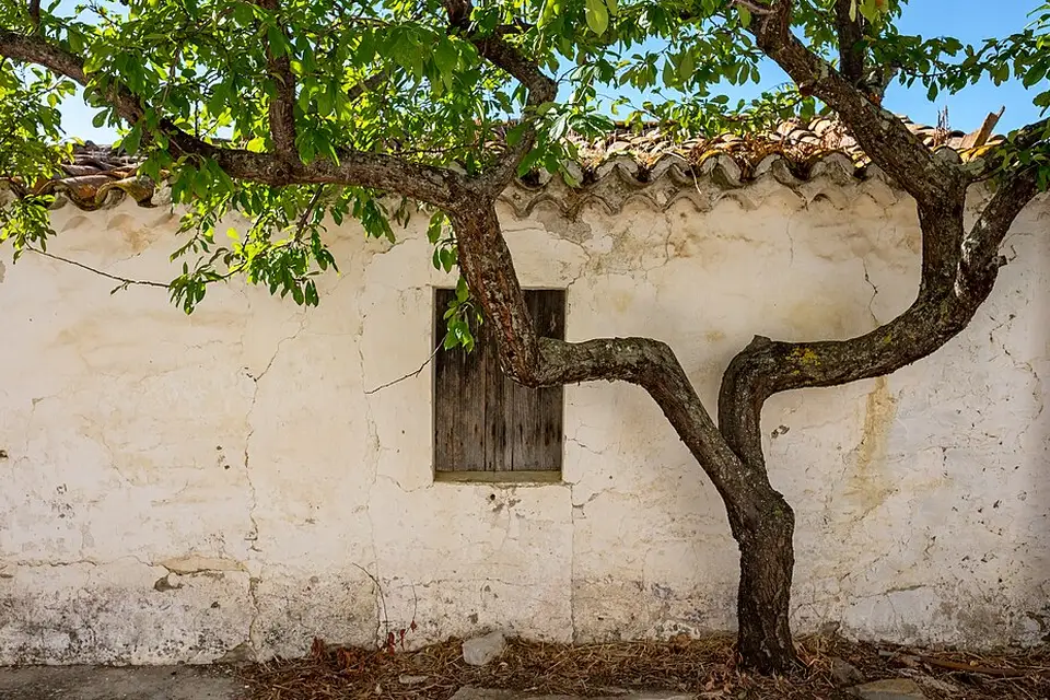 Landschaft und Sehenswürdigkeiten in Algarve für Busreise Algarve mit Reiseleitung – Tipps zur Auswahl