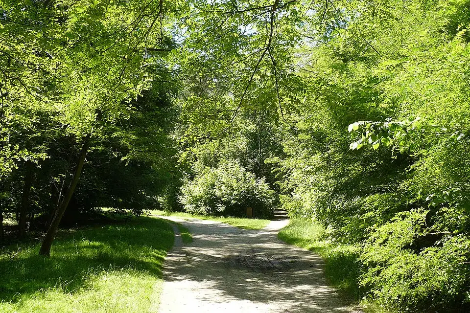 Authentischer Reisemoment in Warschau – passend zu Busreise Warschau mit Rollator – Reiseguide