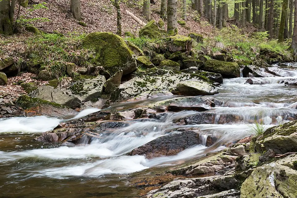 Authentischer Reisemoment in Harz – passend zu Busreise Harz im Frühling – Reiseguide