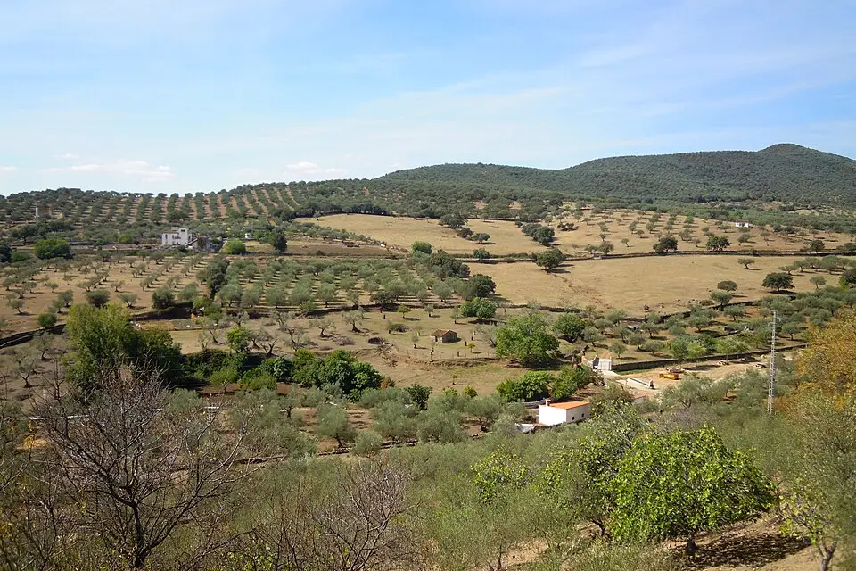 Stimmungsvolle Reiseansicht aus Andalusien für Genussreise Andalusien mit dem Bus – Route & Leistungen