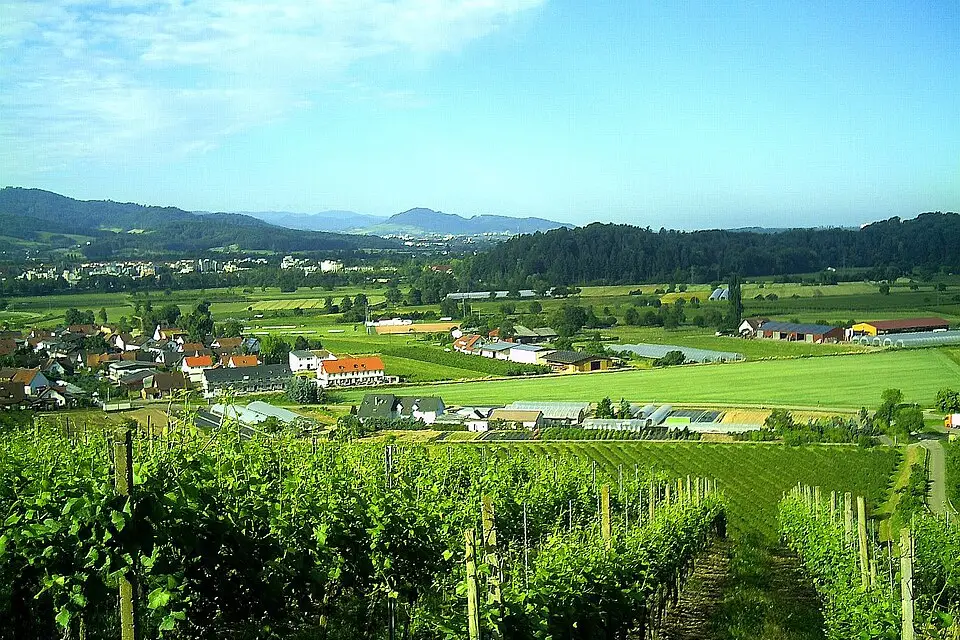 Landschaft und Sehenswürdigkeiten in Rhein für Günstige Busreise Romantischer Rhein – Dauer & Komfort