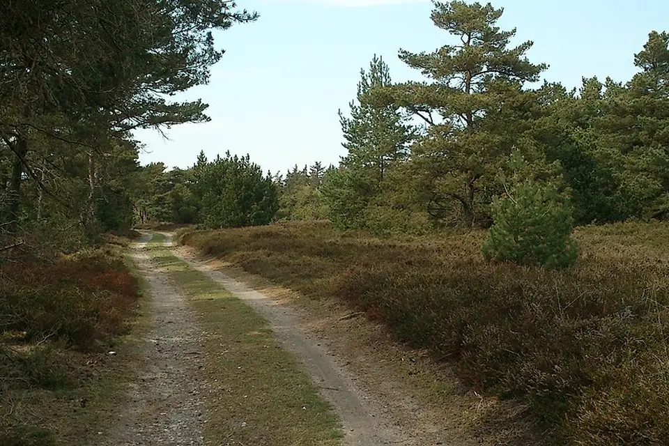 Landschaft und Sehenswürdigkeiten in Dänemark für Busreise Dänemark mit 4-Sterne-Hotel – Dauer & Komfort