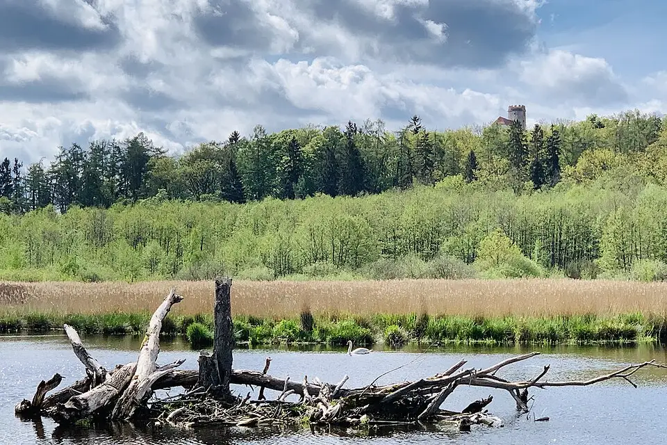 Landschaft und Sehenswürdigkeiten in Bayerischen Wald für Busreise Bayerischer Wald in kleiner Gruppe – Tipps zur Auswahl