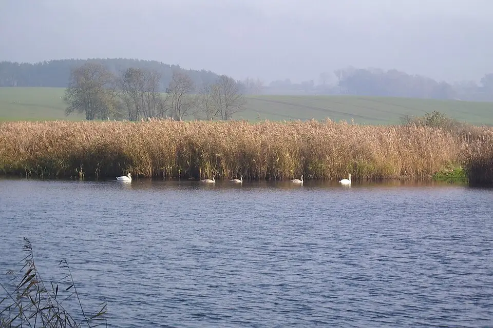 Landschaft und Sehenswürdigkeiten in Mecklenburgischen Seenplatte für Naturreise Mecklenburgische Seenplatte mit dem Bus – Reiseguide