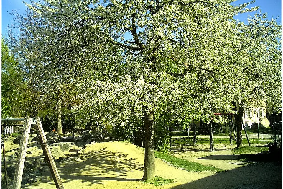 Authentischer Reisemoment in Rhein – passend zu Busreise Romantischer Rhein mit Rollator – Dauer & Komfort
