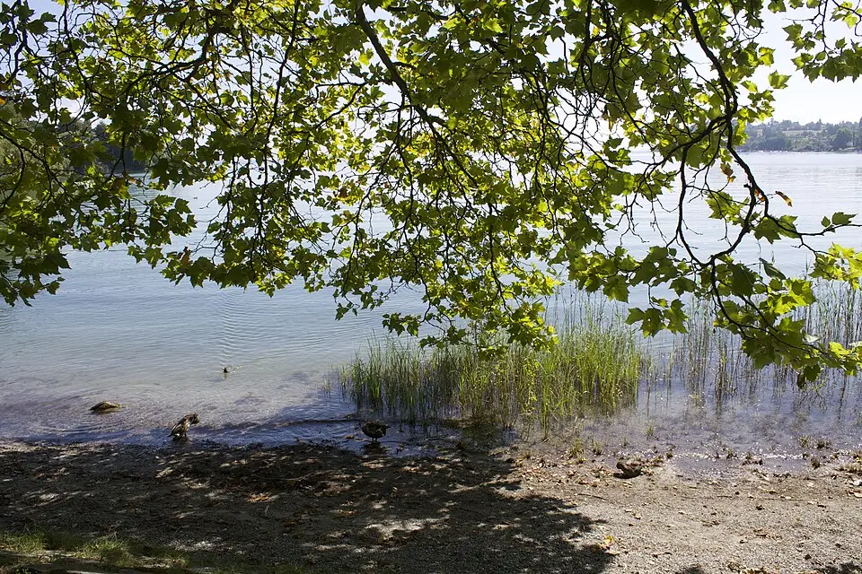 Stimmungsvolle Reiseansicht aus Bodensee für Busreise Bodensee mit 4-Sterne-Hotel – Reisecheck