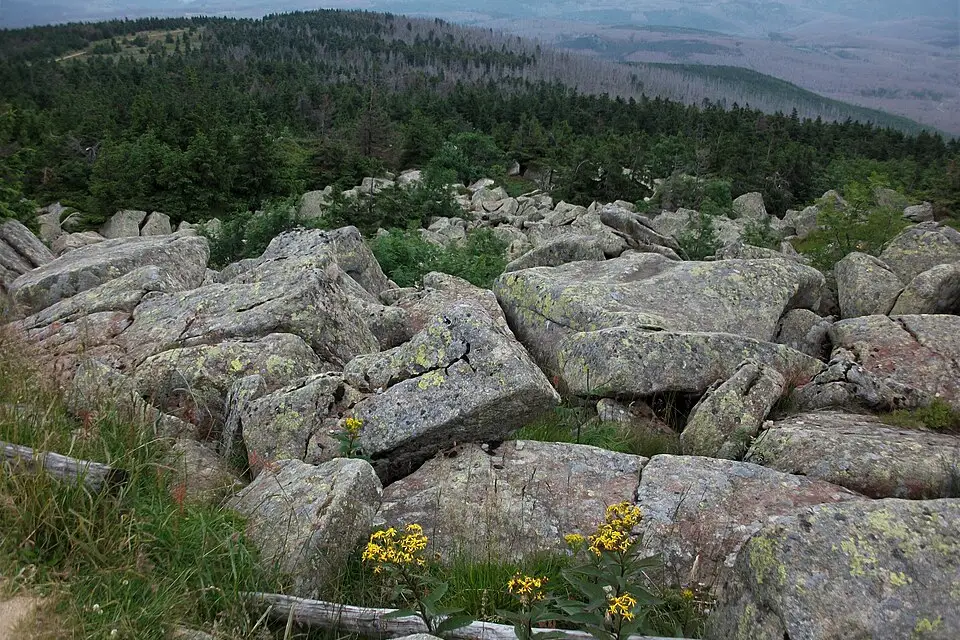 Stimmungsvolle Reiseansicht aus Harz für Panoramareise Harz mit dem Bus – Tipps zur Auswahl