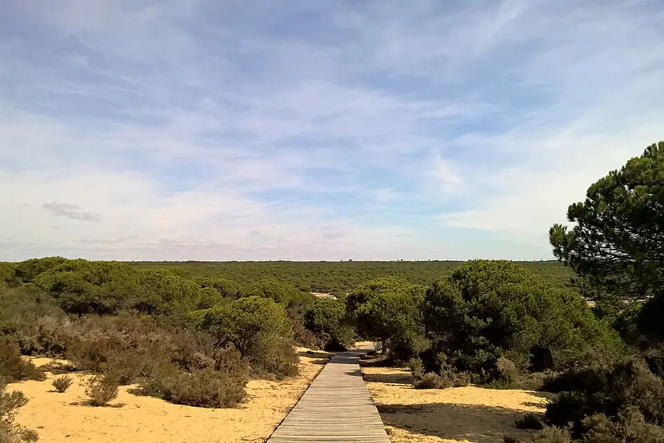 Landschaft und Sehenswürdigkeiten in Andalusien für Panoramareise Andalusien mit dem Bus – Reisecheck
