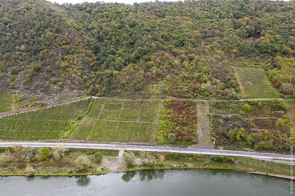 Landschaft und Sehenswürdigkeiten in Mosel für Busreise Mosel Angebote vergleichen – Tipps zur Auswahl