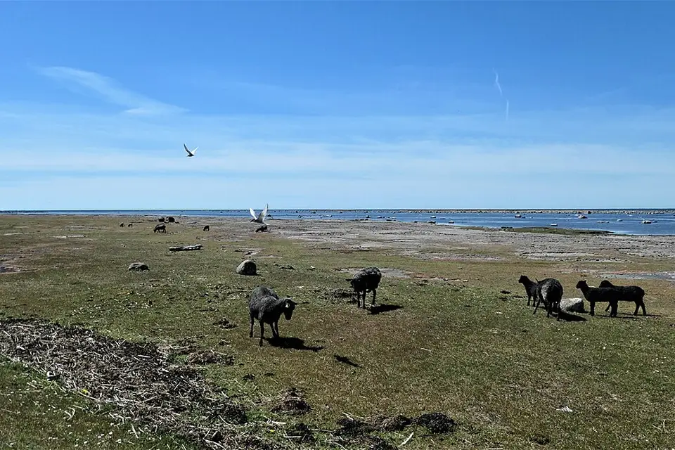 Stimmungsvolle Reiseansicht aus Südschweden für Naturreise Südschweden mit dem Bus – Reisecheck