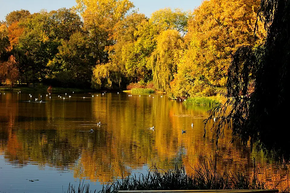 Authentischer Reisemoment in Warschau – passend zu Naturreise Warschau mit dem Bus – Tipps zur Auswahl