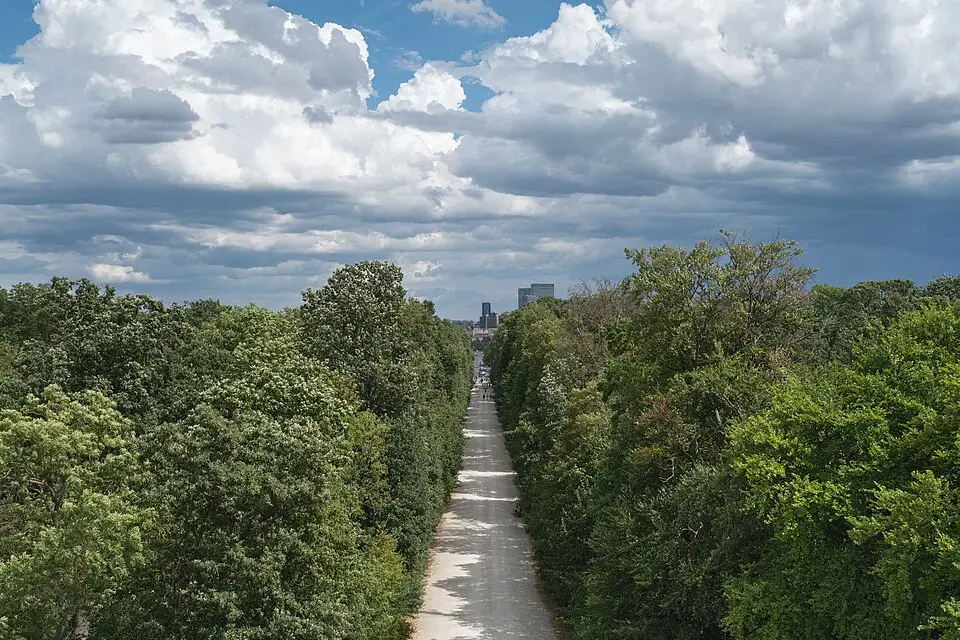 Authentischer Reisemoment in Wien – passend zu Busreise Wien mit 4-Sterne-Hotel – Route & Leistungen