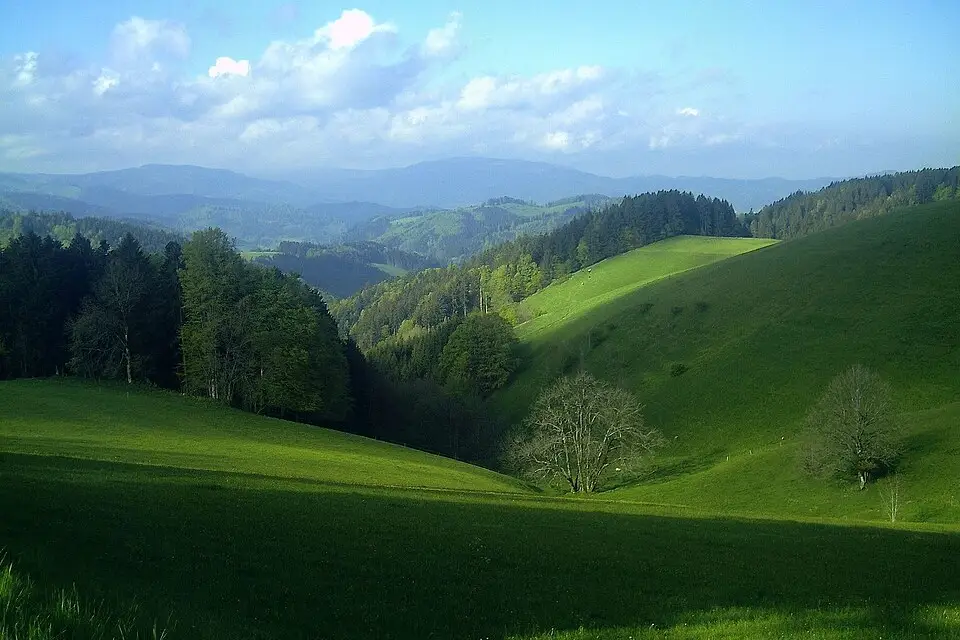 Authentischer Reisemoment in Schwarzwald – passend zu Busreise Schwarzwald für Familien – Route & Leistungen