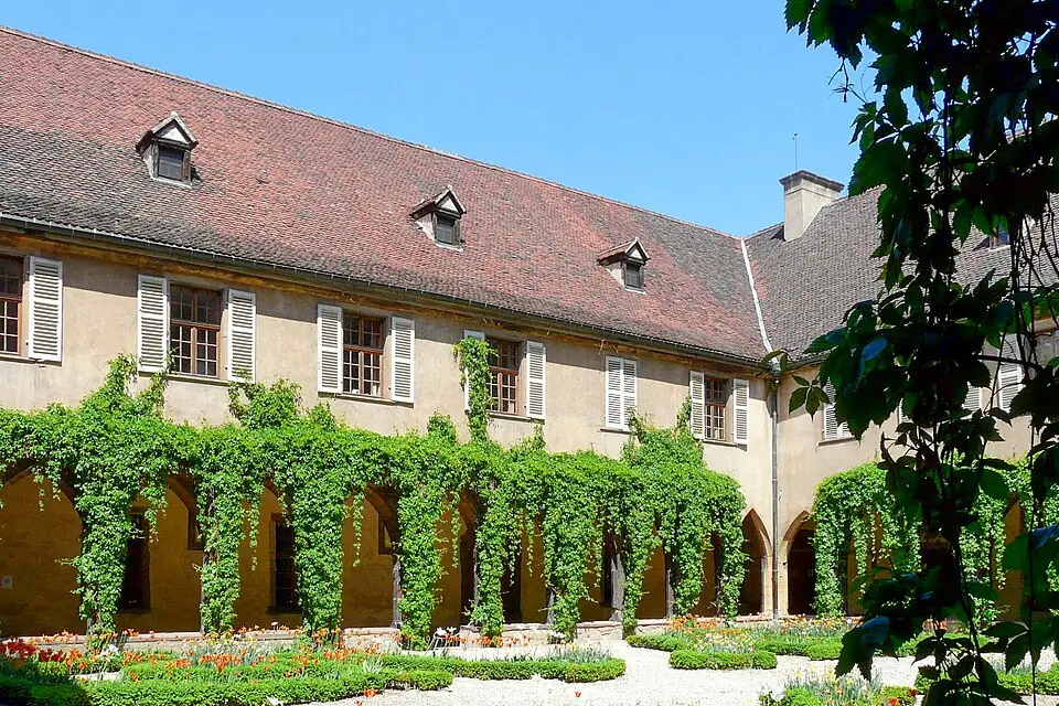 Stimmungsvolle Reiseansicht aus Elsass für Kulturreise Elsass mit dem Bus – Tipps zur Auswahl