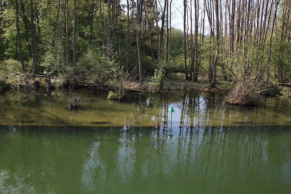 Authentischer Reisemoment in Mecklenburgischen Seenplatte – passend zu Adventsreise Mecklenburgische Seenplatte mit dem Bus – Reisecheck
