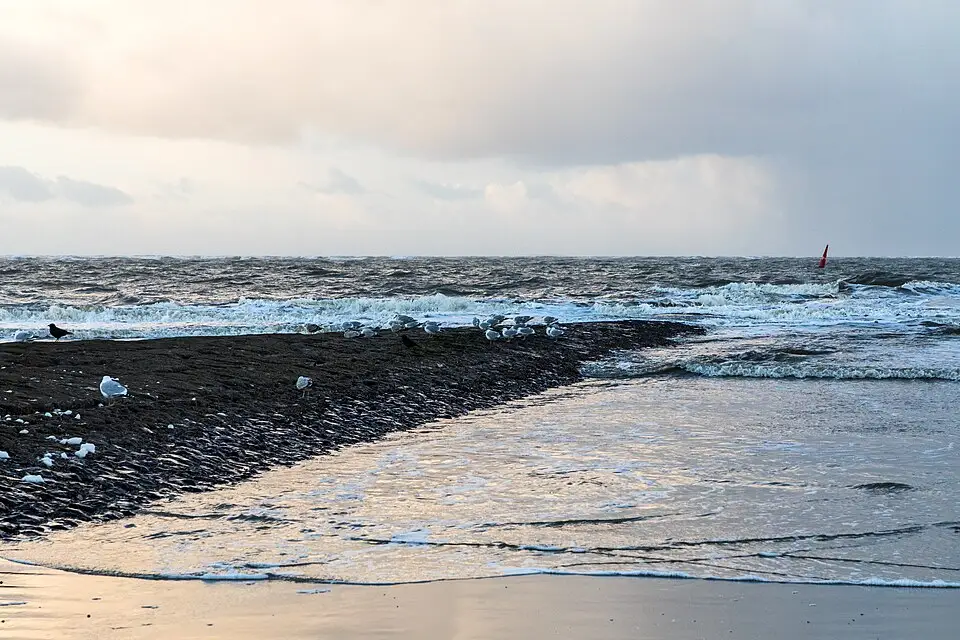 Stimmungsvolle Reiseansicht aus Nordsee für Genussreise Nordsee mit dem Bus – Tipps zur Auswahl