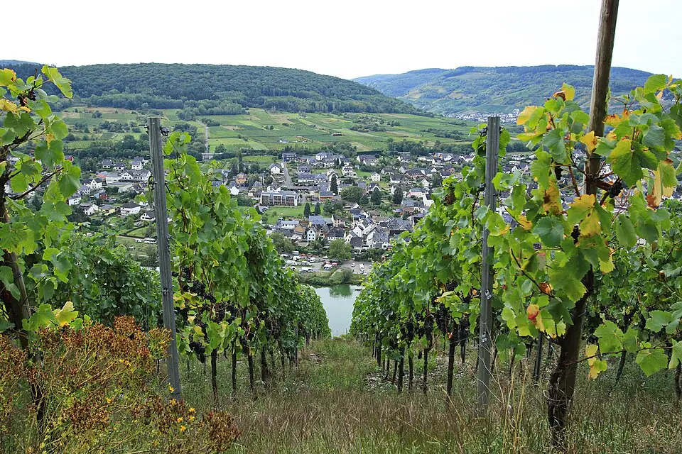 Stimmungsvolle Reiseansicht aus Mosel für Busreise Mosel Angebote vergleichen – Tipps zur Auswahl
