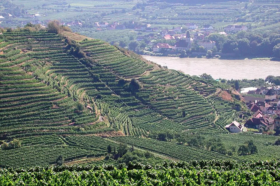 Landschaft und Sehenswürdigkeiten in Wachau für Busreise Wachau im Frühling – Tipps zur Auswahl