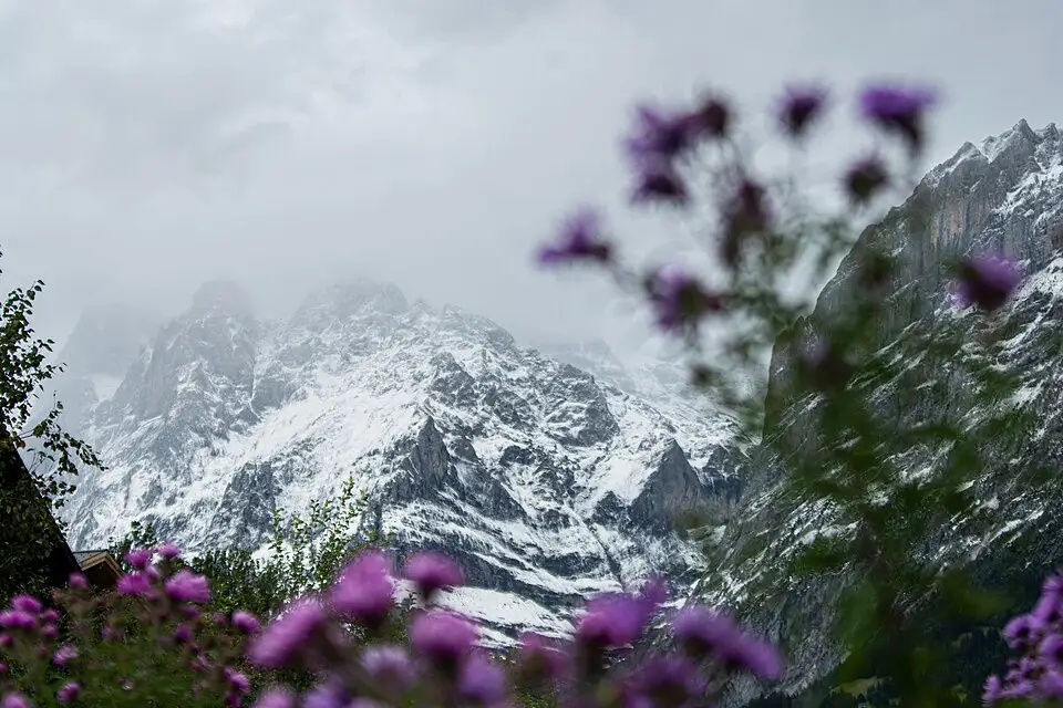 Authentischer Reisemoment in Berner Oberland – passend zu Busreise Berner Oberland mit Halbpension – Tipps zur Auswahl